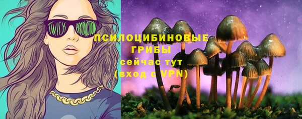 PSILOCYBIN Богородск